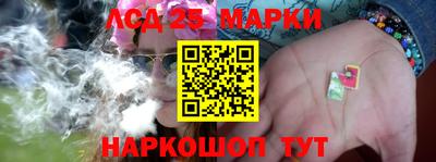 крисы Кандалакша