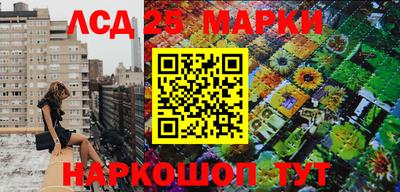 СК Камышлов
