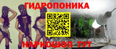 СК Камышлов
