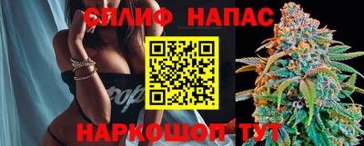 стаф Канаш