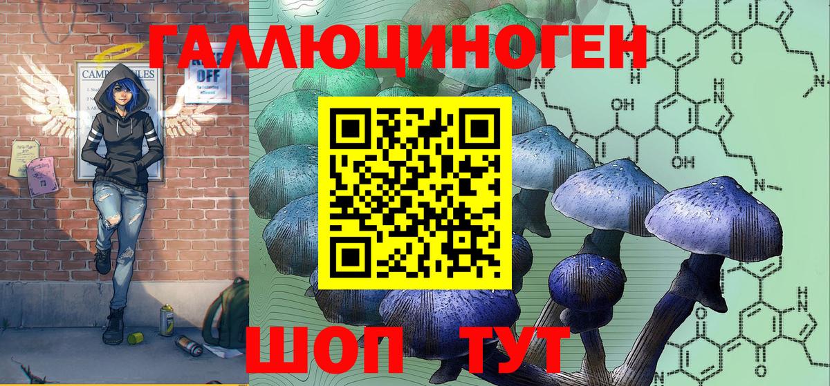Псилоцибиновые грибы MAGIC MUSHROOMS  Вход с VPN  Котельники 